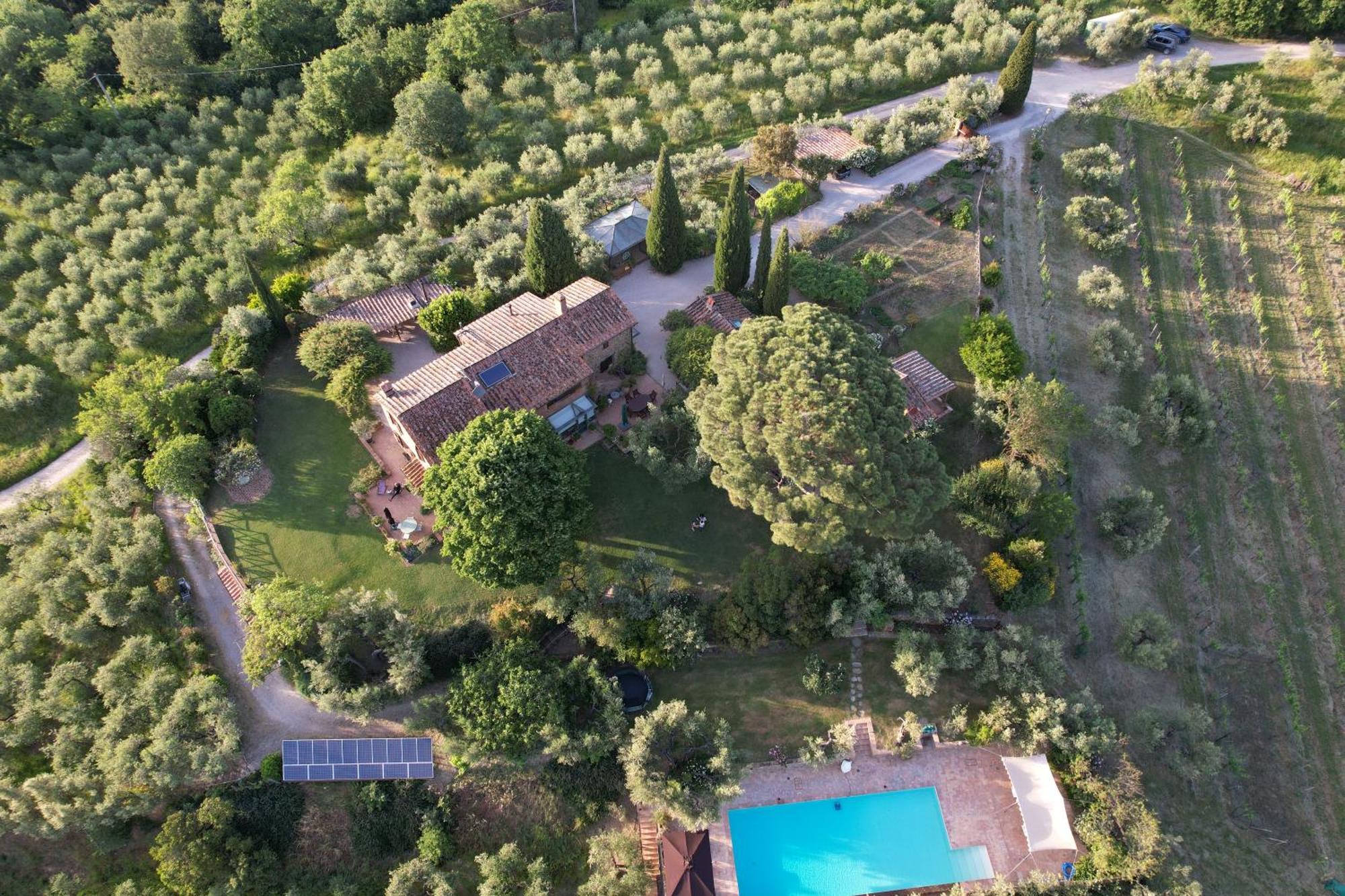 Fontanaro Farm And Culinary School Villa Paciano Exteriör bild